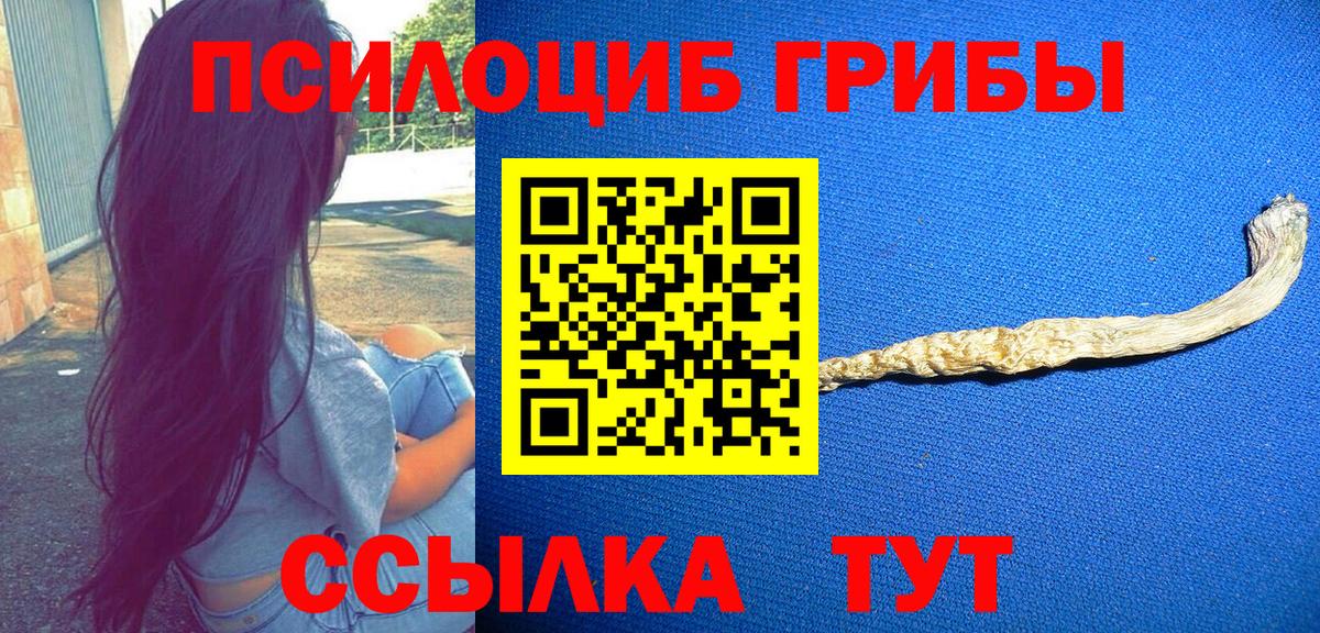 Галлюциногенные грибы ЛСД  Псилоцибиновые грибы прущие грибы  Чапаевск  Вход с VPN 
